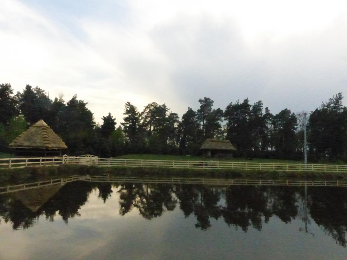 Wisznice高原旅馆住宿加早餐旅馆 外观 照片