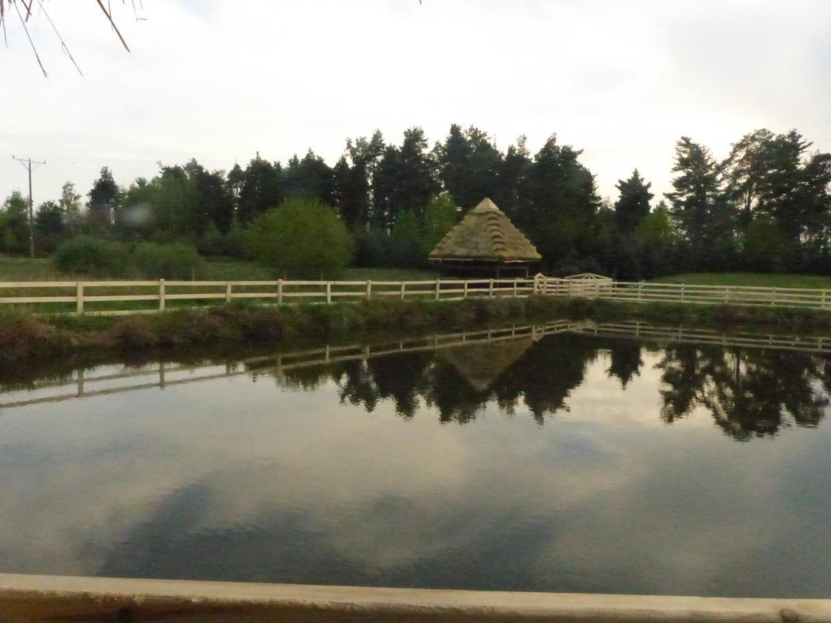 Wisznice高原旅馆住宿加早餐旅馆 外观 照片